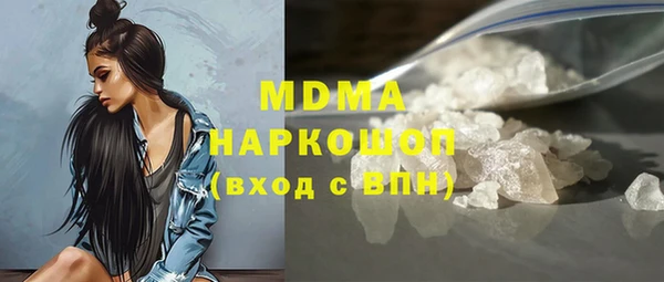 индика Алексин