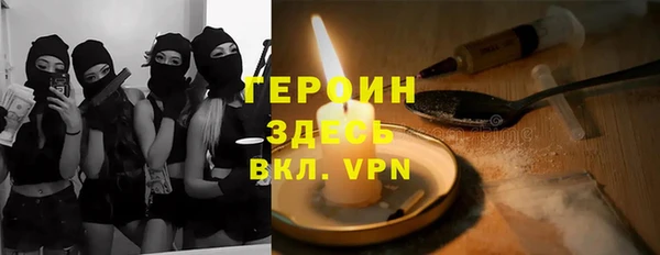 индика Алексин