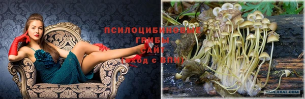 бутират Абинск