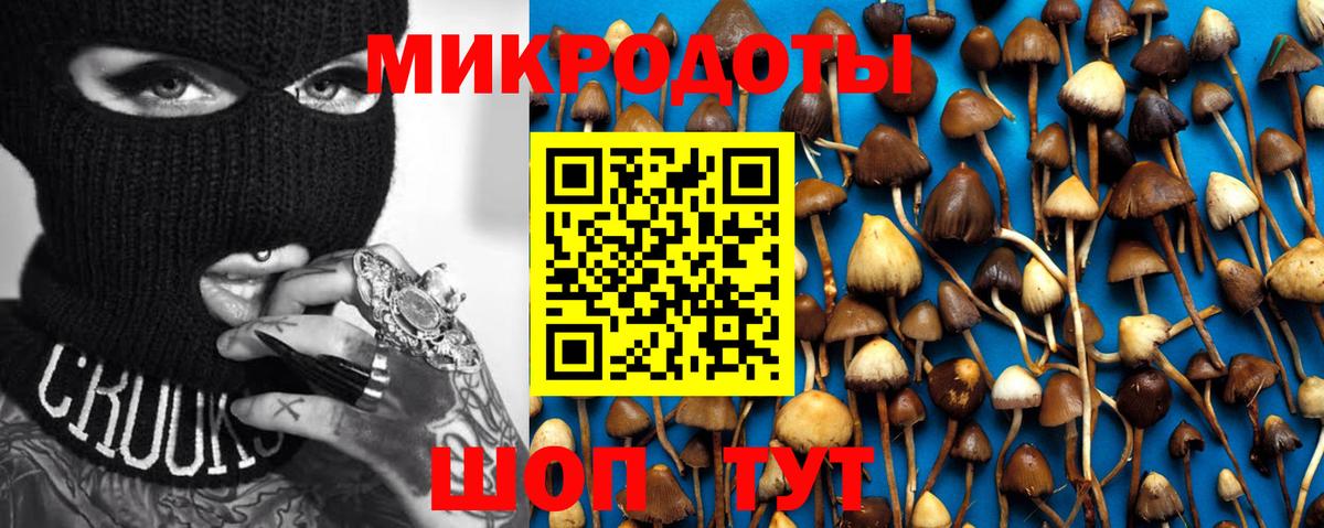 Домодедово  Псилоцибиновые грибы MAGIC MUSHROOMS  Псилоцибиновые грибы GOLDEN TEACHER  Вход с VPN 